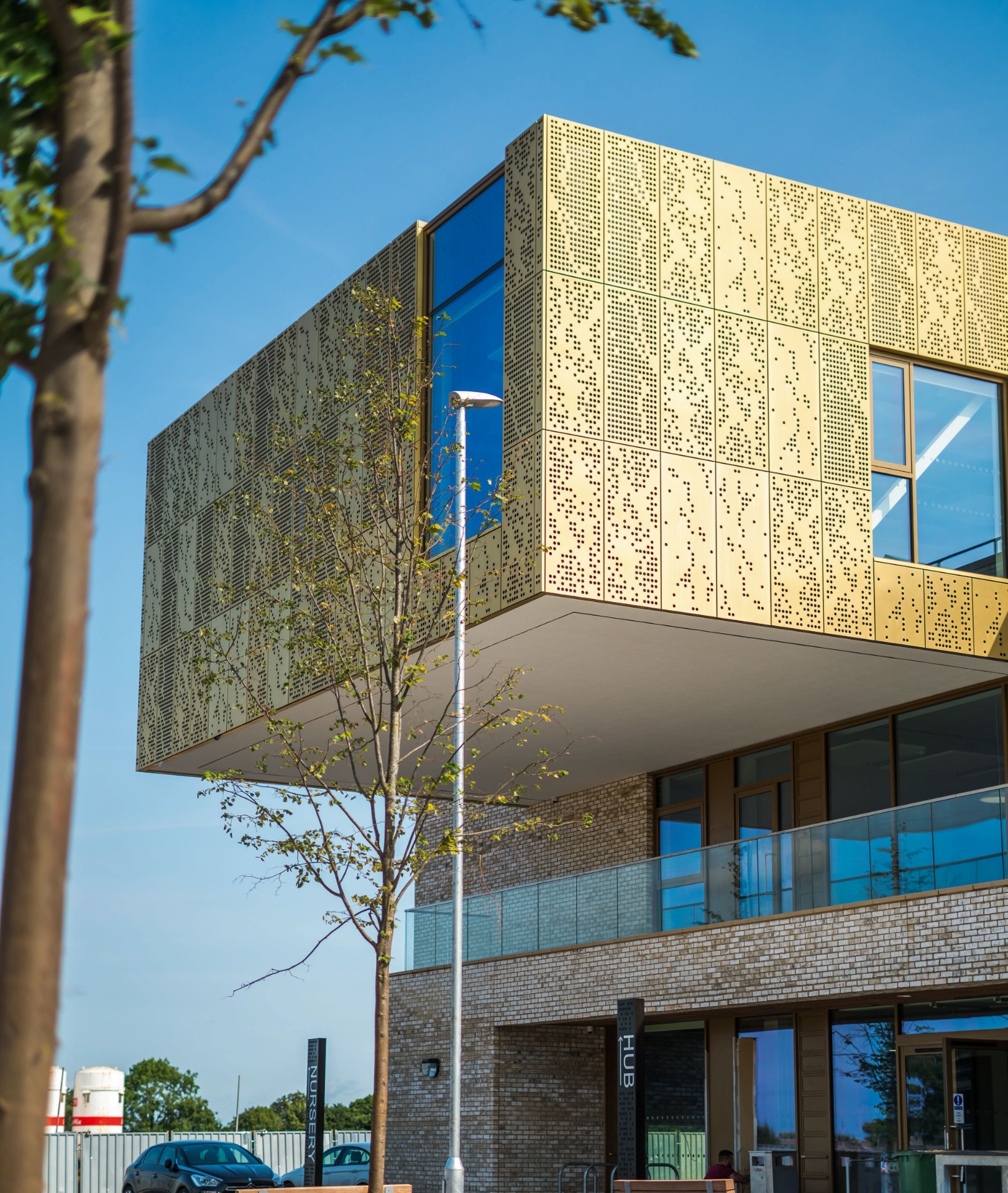Perforated Tecu Gold